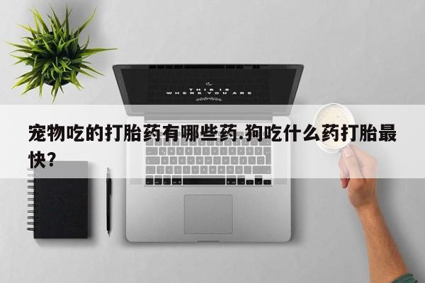 堕胎药网上购买宠物吃的打胎药有哪些药.狗吃什么药打胎最快？