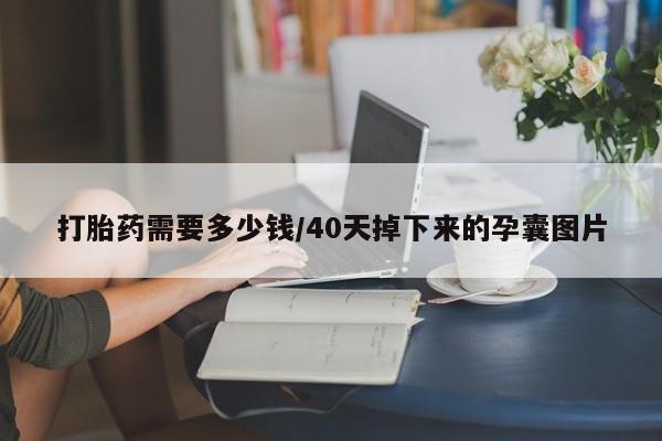 堕胎药网上购买打胎药需要多少钱/40天掉下来的孕囊图片