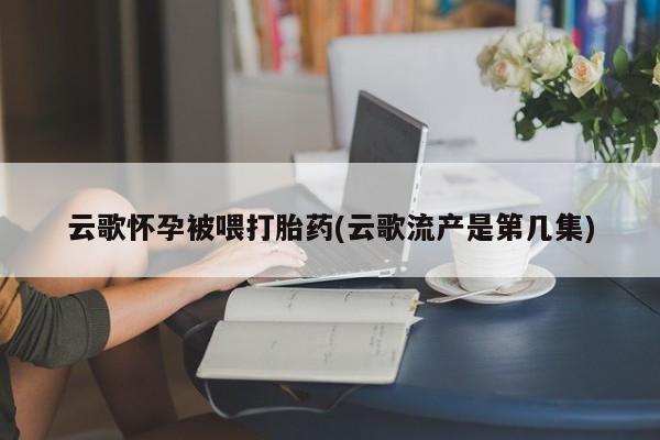 堕胎药网上购买云歌怀孕被喂打胎药(云歌流产是第几集)